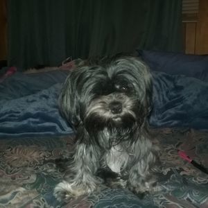 Meet your Posher, Gina